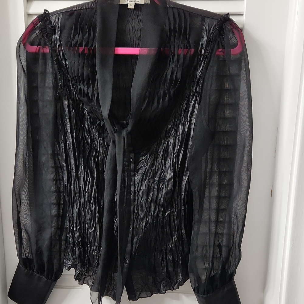 Elegant Black Sheer Blouse
